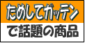 ���߂��ăK�b�e��